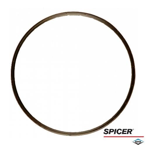 Dana/Spicer Hub V-Ring, MFD, 10 Bolt Hub