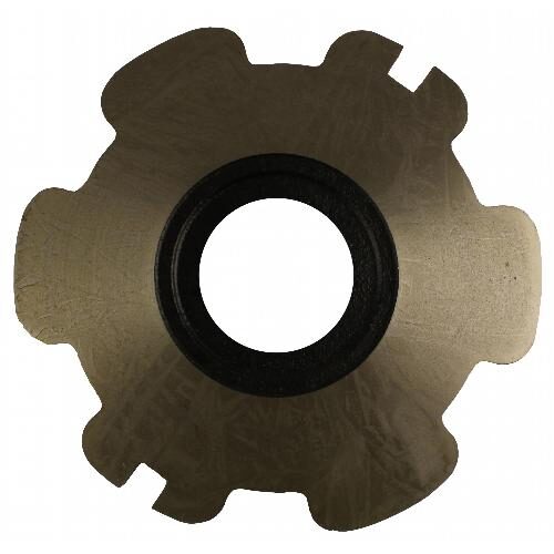 Primary Brake Plate