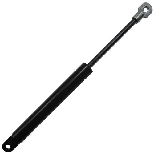 Hood Gas Strut