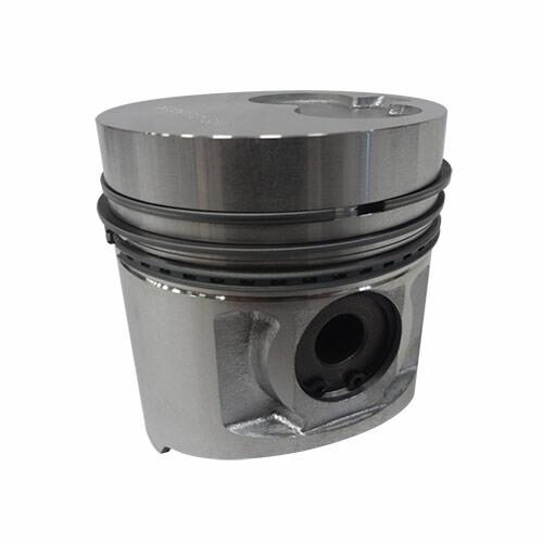 Piston &amp; Rings
