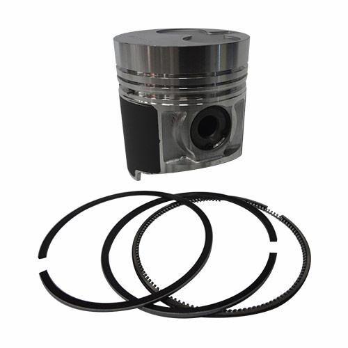 Piston &amp; Rings