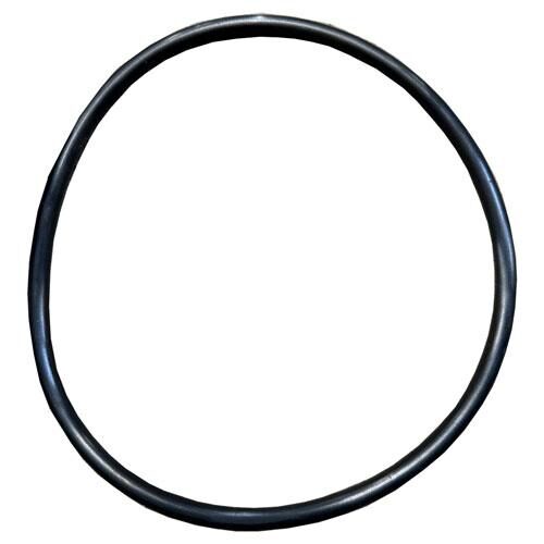 Housing O-Ring