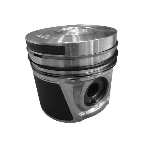 Piston &amp; Rings