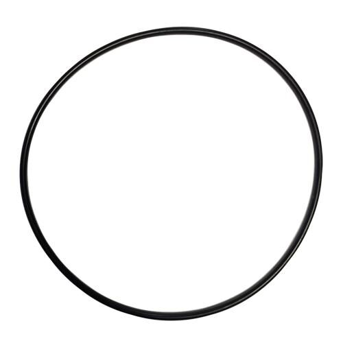 Rotor Plate O-Ring - 3rd Generation Only