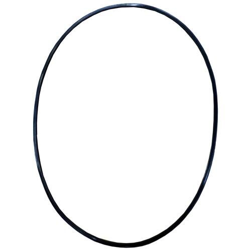 Back Up Ring