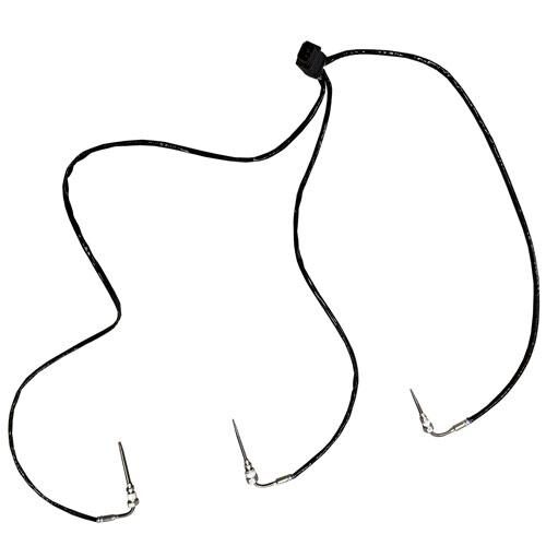 Temperature Sensor