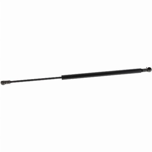 Door Strut